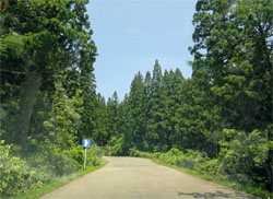 羽黒山17.jpg