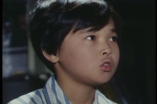 PDVD_003.jpg