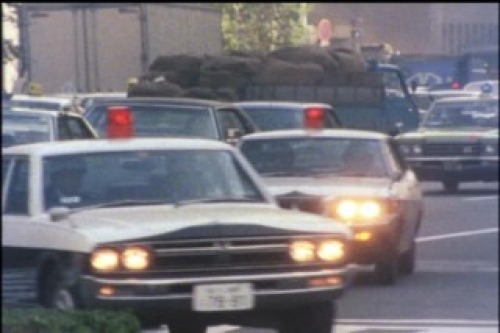 PDVD_016.jpg