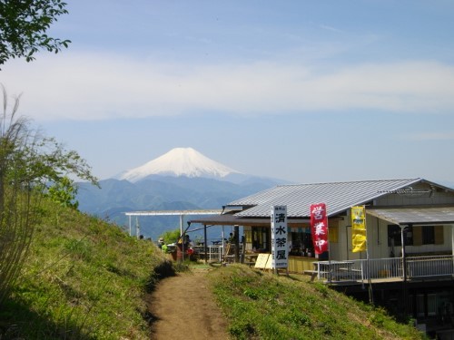 陣馬山山頂富士山 (2) (500x375).jpg