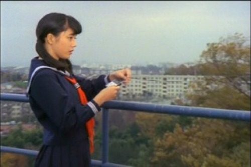 PDVD_248.jpg