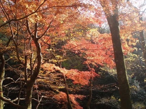 花貫4.jpg