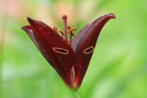 IMG_9830 - コピー.JPG