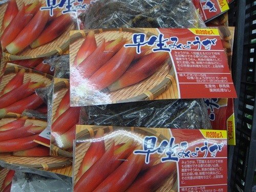 DSC07632_R.JPG