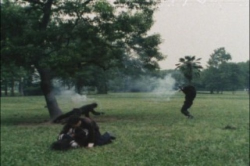 PDVD_024.jpg