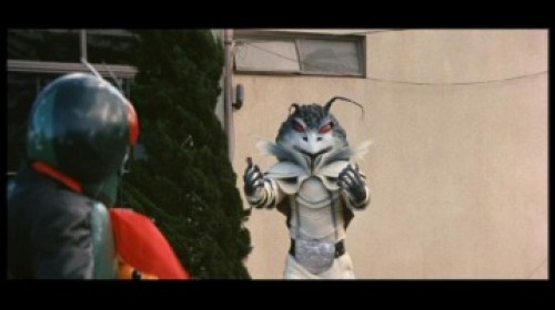 PDVD_070.jpg