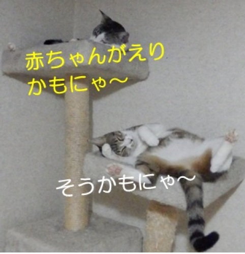 20130923_7.jpg