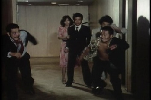 PDVD_048.jpg