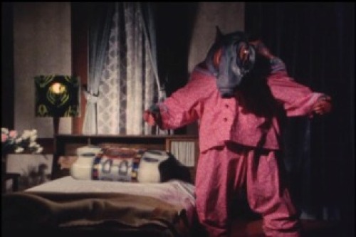 PDVD_001.jpg