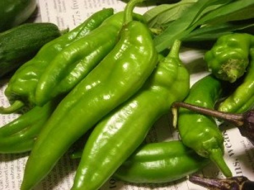 DSCN2954 (300x225).jpg