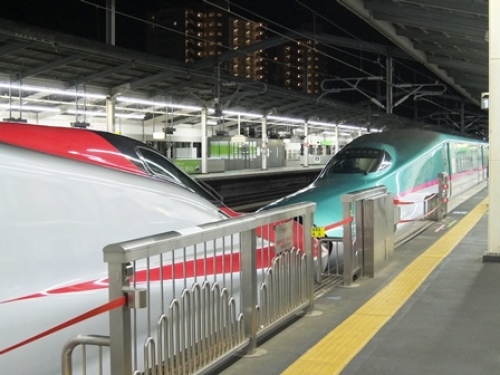 DSCF6592.JPG