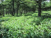 IMG_7812_R.JPG