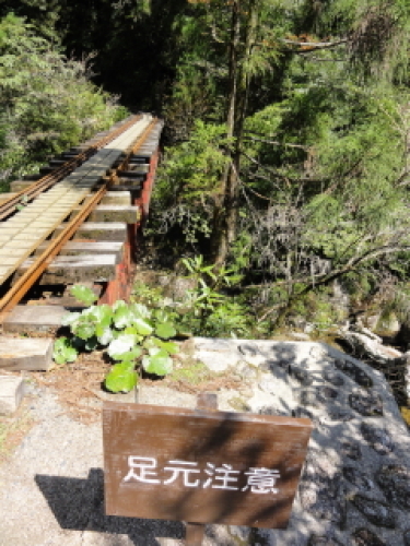 yakushima0018.JPG