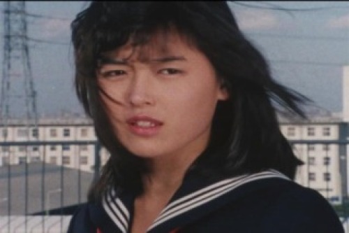 PDVD_007.jpg