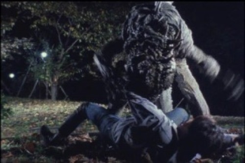 PDVD_020.jpg