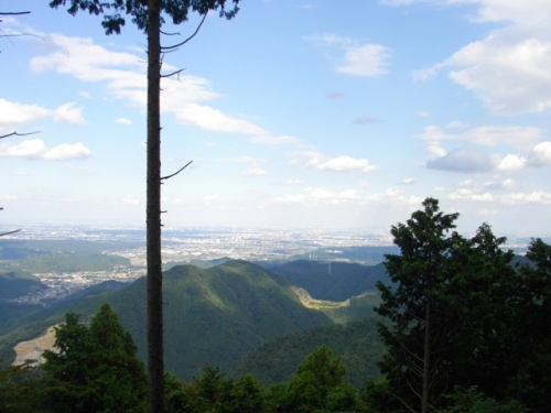 奥高尾縦走路臼杵山山頂 (3).JPG