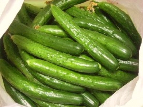 DSCN2586 (300x225).jpg