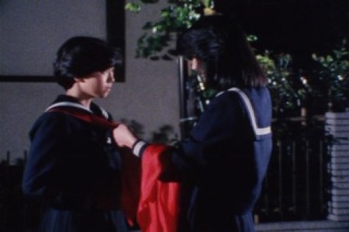PDVD_026.jpg