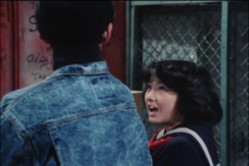 PDVD_011.jpg