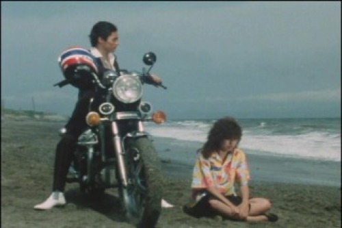 PDVD_024.jpg