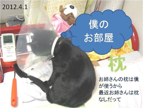 2012_04_01チャンの部屋.jpg