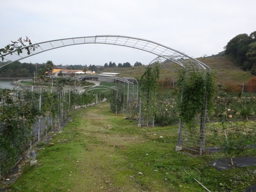 DSC02231 - コピー.jpg