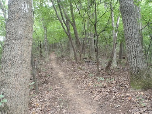 P9150074.JPG