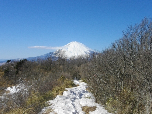 箱根外輪山明神ヶ岳山頂 (4) (500x376).jpg