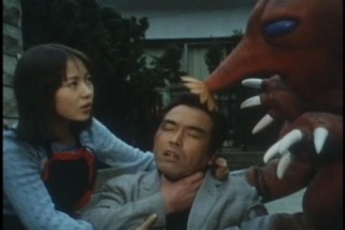 PDVD_009.jpg