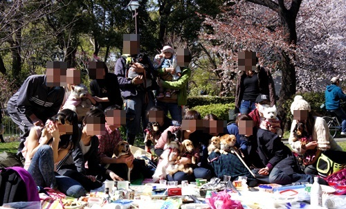 yomotsuku20120408-20.JPG