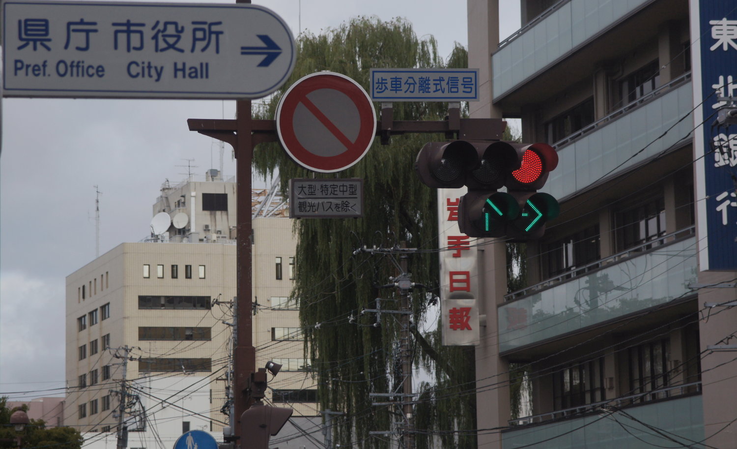 歩 車 分離 信号 自転車