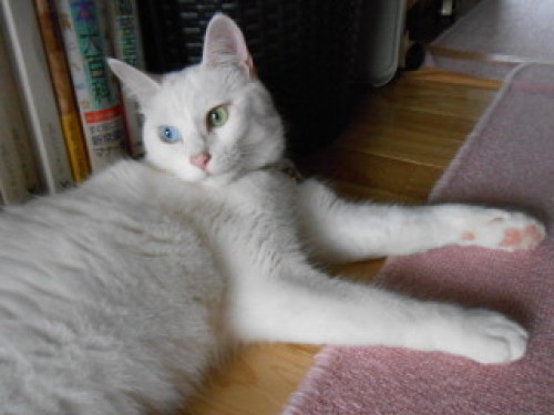 11-DSCN5314.JPG