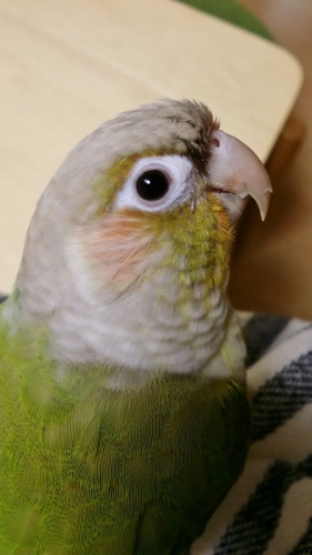 1400160568462 (450x800).jpg