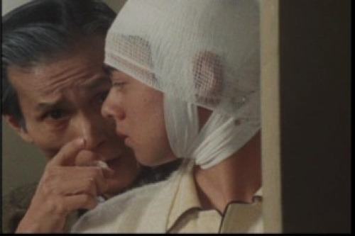 PDVD_041.jpg