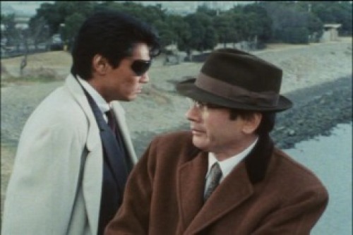 PDVD_004.jpg