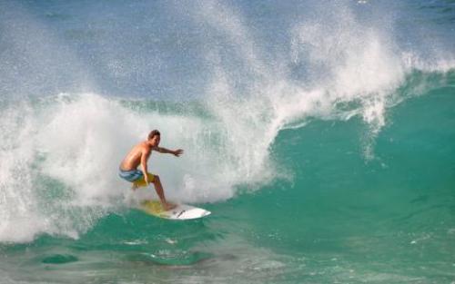 pict-ノースショア 11.jpg