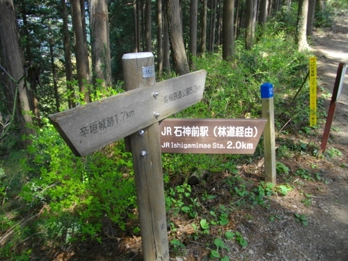 青梅丘陵青梅市内石神前分岐 (500x375).jpg