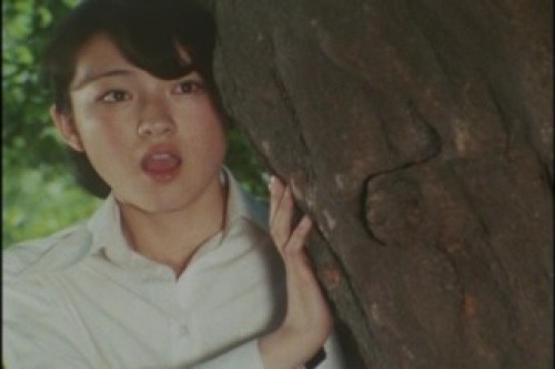 PDVD_004.jpg