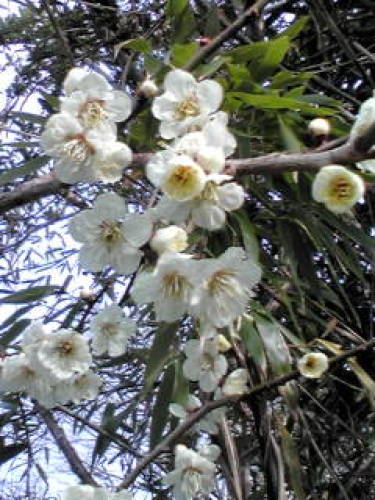 20120308083247.jpg