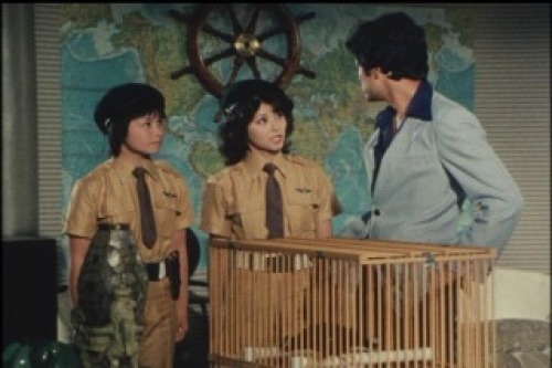 PDVD_014.jpg