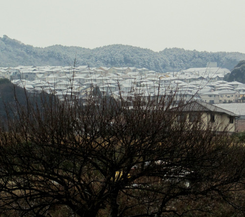 隣町の雪.JPG