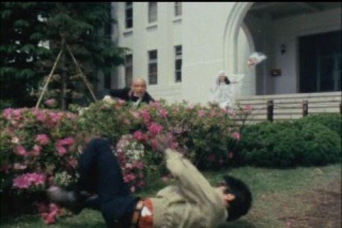 PDVD_039.jpg
