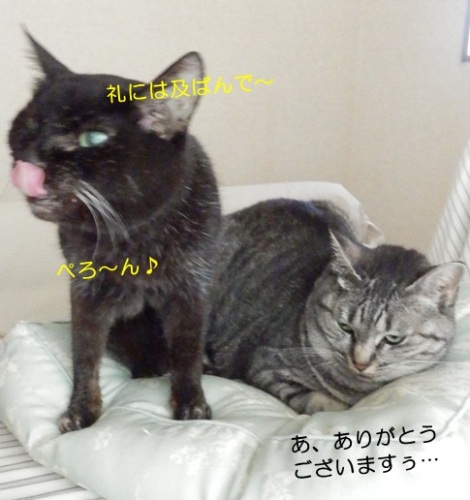 20150925_2.jpg