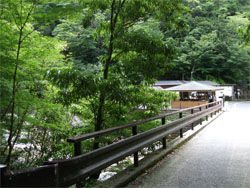 屋久島21.jpg