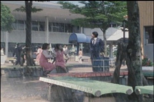 PDVD_014.jpg