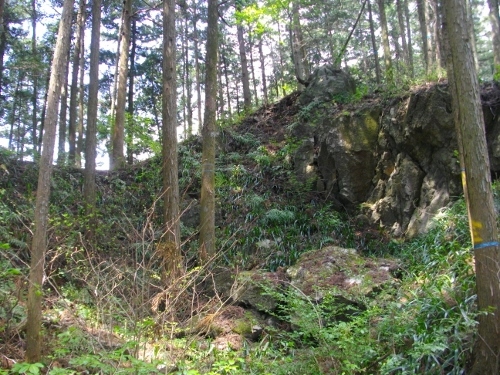 辛垣城土塁 (500x375).jpg