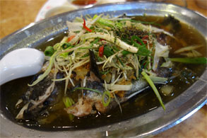 台湾81.jpg