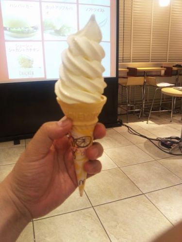 マクドナルド21(ソフトツイスト).JPG