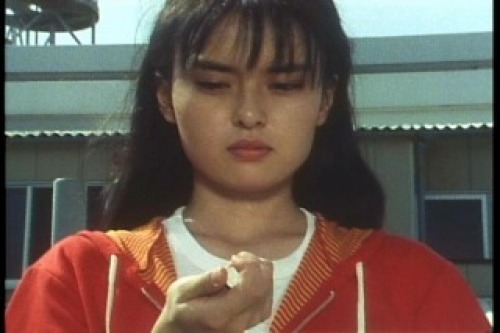 PDVD_051.jpg