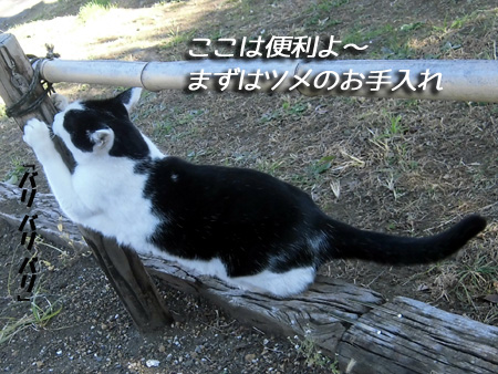 2'.jpg
